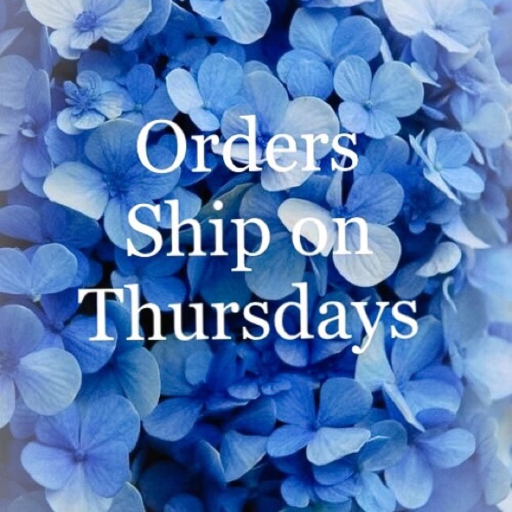 Shipping Schedule✨